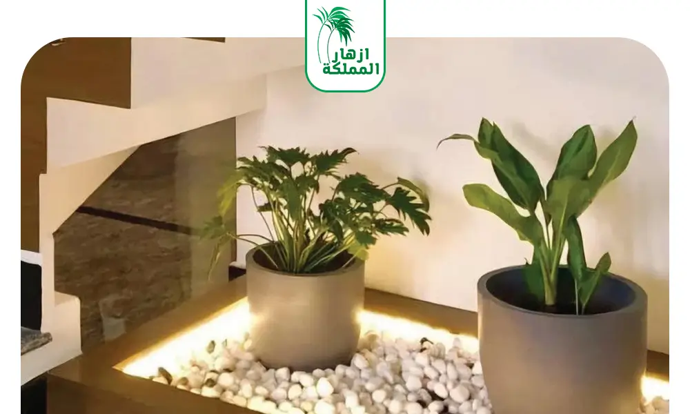 تصميم تحت الدرج